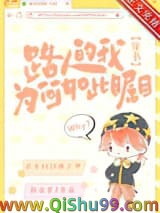 路人的我为何如此瞩目[穿书]小说