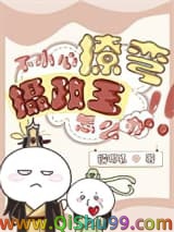 不小心撩弯了摄政王怎么办小说