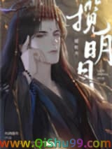 揽明月小说