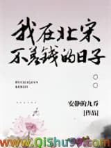 我在北宋不差钱的日子小说
