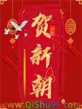 贺新朝小说