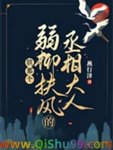 朕那个弱柳扶风的丞相大人小说