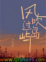 风吹过岛屿小说