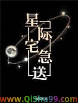 星际宅急送小说