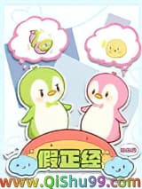 假正经小说