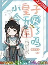小皇子今天被灭国了吗小说
