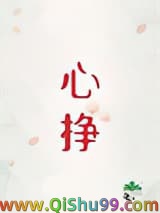 心挣小说