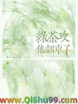 绿茶攻他翻车了小说