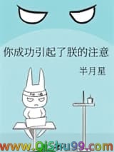 你成功引起了朕的注意小说