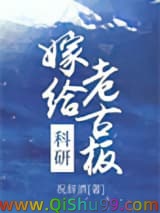 嫁给科研老古板小说