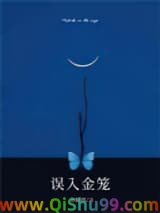 误入金笼小说