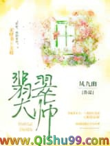 翡翠大师小说