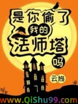 是你偷了我的法师塔吗？小说