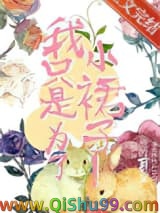 我只是为了小裙子！小说