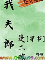 我夫郎是二嫁[穿书]小说