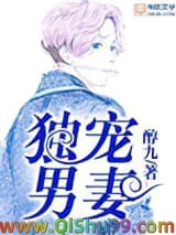 独宠男妻小说