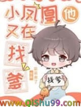 小凤凰他又在找爹小说