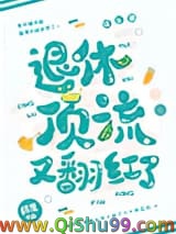 退休顶流又翻红了小说