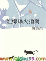 娃综爆火指南小说
