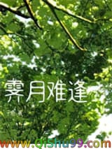 霁月难逢小说