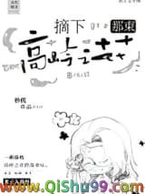 摘下那束高岭之花小说