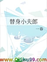 替身小夫郎小说