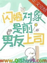 闪婚对象是前男友上司小说