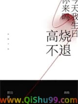 高烧不退小说