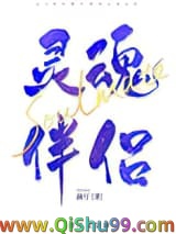 我的灵魂伴侣是自由人小说