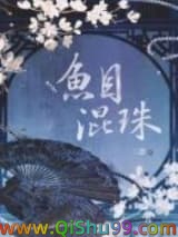 鱼目混珠小说