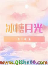冰糖月光小说