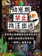 幼崽期禁止携汪出逃小说