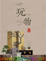 玩物小说