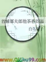 首辅寡夫郎他茶香四溢小说