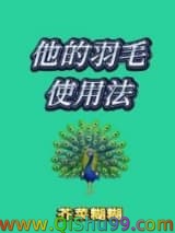 他的羽毛使用法小说