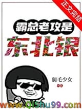 霸总老攻是东北银小说