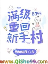 满级BOSS重回新手村小说