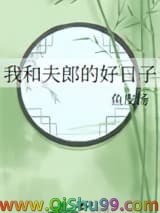 我和夫郎的好日子小说