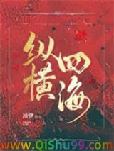 纵横四海小说