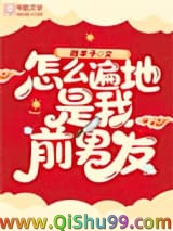 怎么遍地是我前男友小说