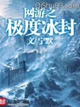 网游之极度冰封小说