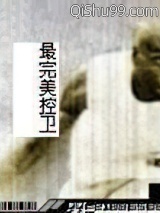 最完美控卫小说