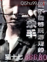 杀手是不能够玩游戏的小说