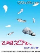 飞翔之羽小说