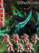 魔兽高手在异界小说