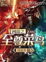 网游之至尊菜鸟小说