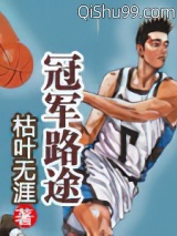冠军路途小说