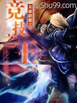 英雄联盟之竞技之王小说