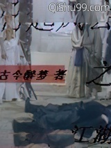 江湖之再起风云小说