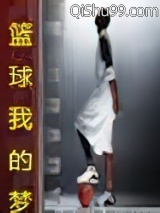 篮球我的梦小说